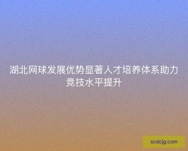 湖北网球发展优势显著人才培养体系助力竞技水平提升